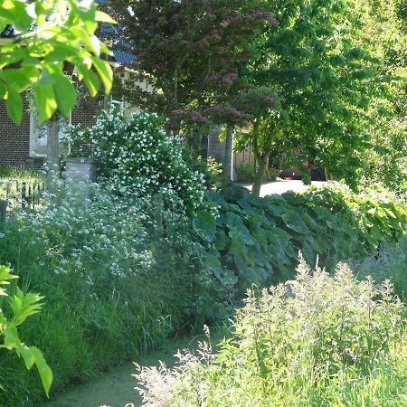 Bed and Breakfast De Wylgepleats Jutrijp Esterno foto
